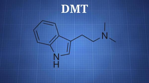dimethyltryptamine
