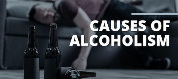 alcoholism causes